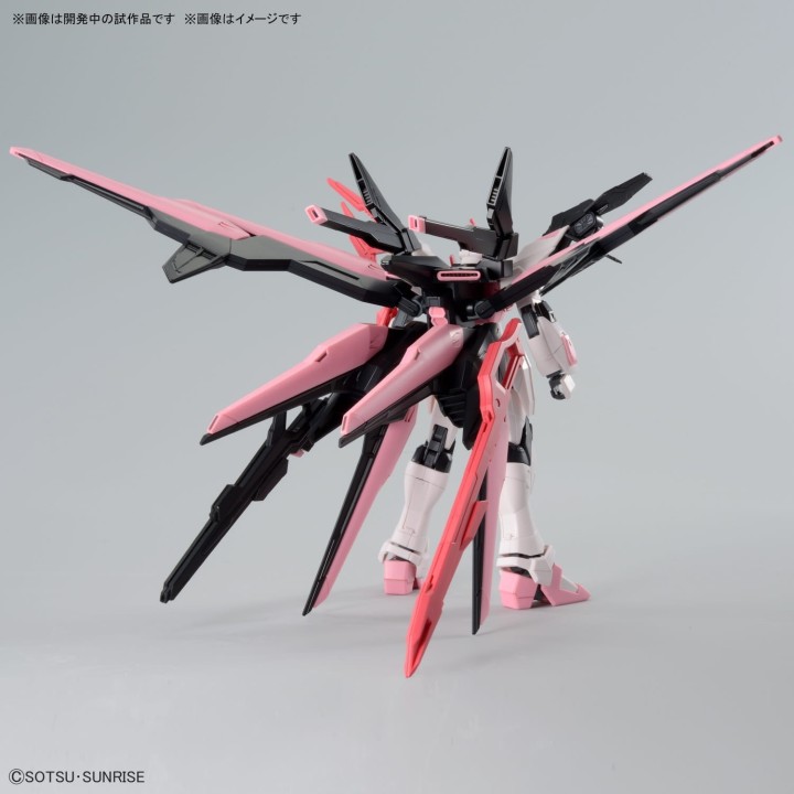 HG 1/144 Gundam Perfect Strike Freedom Rogue